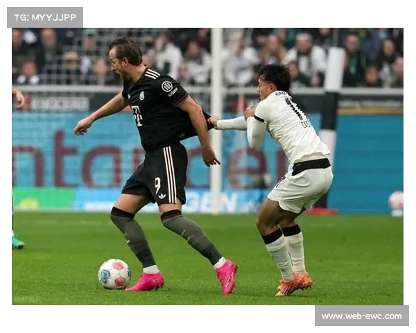 球迷闯入赛场致比赛中断，德甲加强安保措施